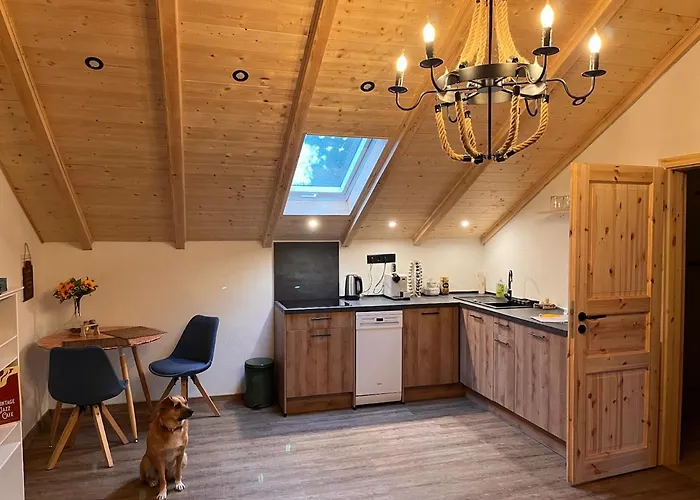 Romantische Game Changer Hof Apartament